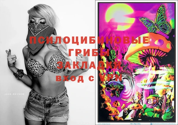 не бодяженный Рославль