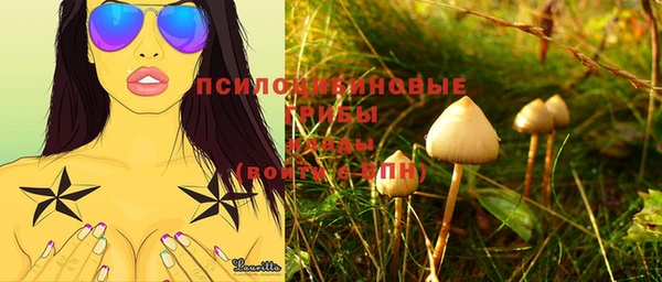 прущие крисы Белокуриха